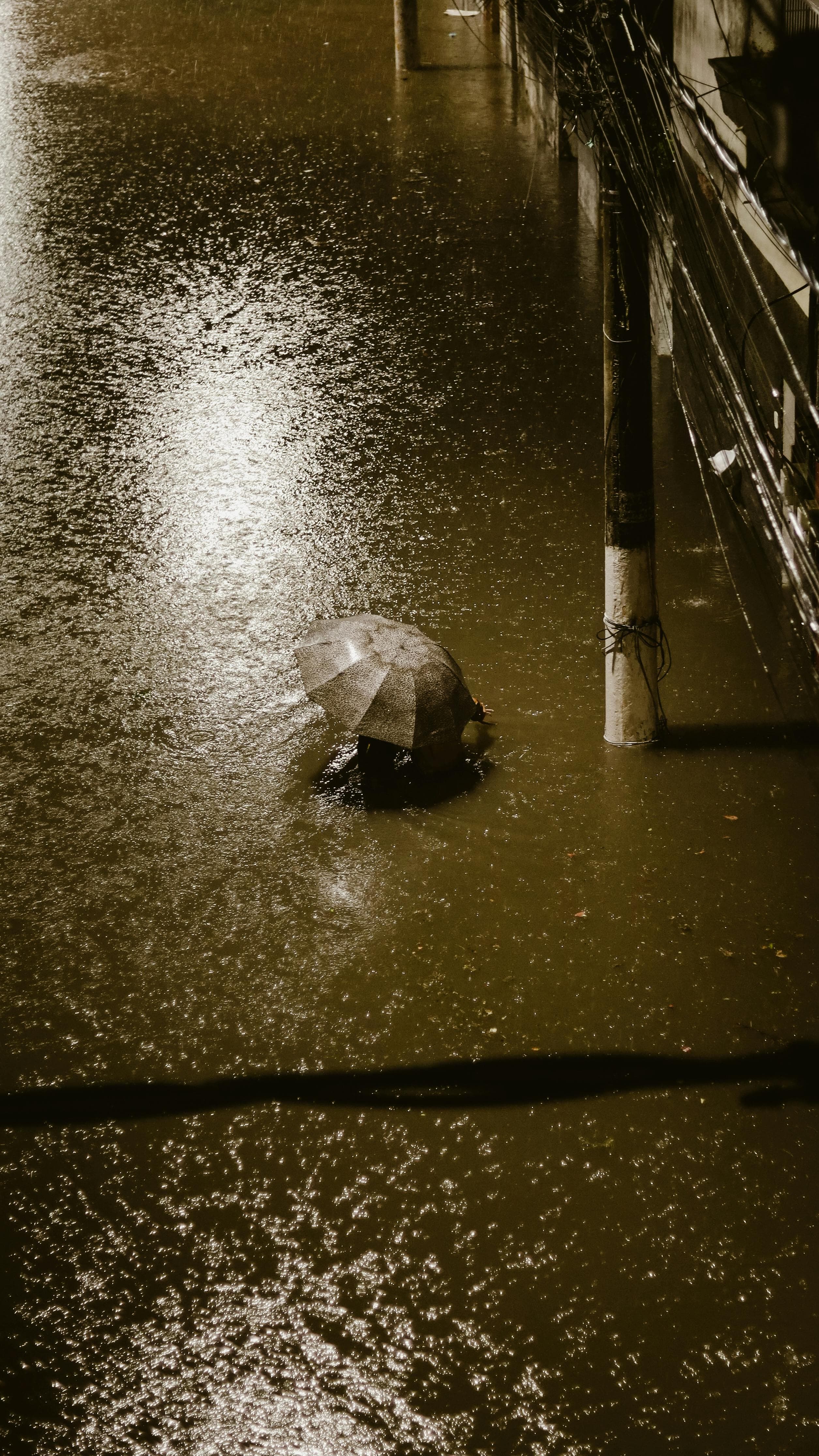 Punjab Floods, August 2025